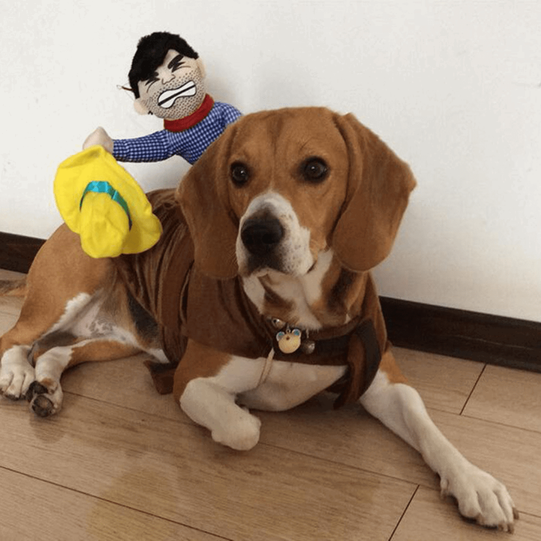 Pet Costume for Cats and Dogs Rodeo Outfit