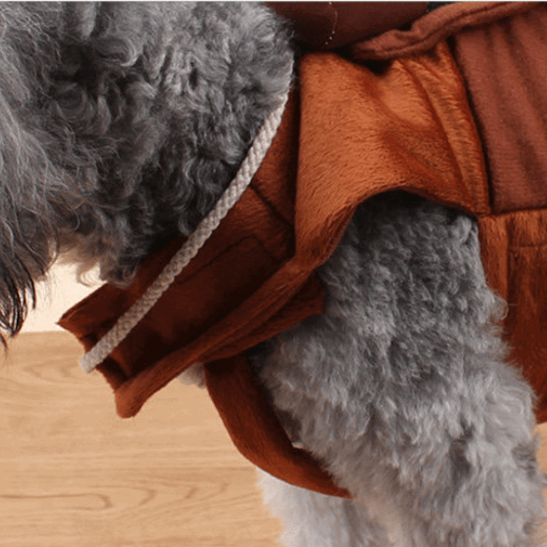 Pet Costume for Cats and Dogs Rodeo Outfit