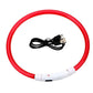 LED Dog Collar Light Up Waterproof Rechargeable Safety Collar for Night Walking